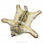 Шкура волка (Ковер из шкуры волка), фотография 1. Интернет-магазин ЛАВКА ПОДАРКОВ