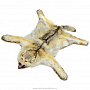 Шкура волка (Ковер из шкуры волка), фотография 6. Интернет-магазин ЛАВКА ПОДАРКОВ