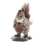 Чучело настольное "Белка с шишкой", фотография 2. Интернет-магазин ЛАВКА ПОДАРКОВ