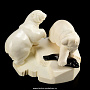 Скульптура "Медведи и нерпа" (рог лося), фотография 1. Интернет-магазин ЛАВКА ПОДАРКОВ