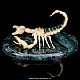 Скульптура из бивня мамонта "Скорпион", фотография 5. Интернет-магазин ЛАВКА ПОДАРКОВ