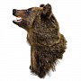 Чучело настенное "Голова медведя", фотография 1. Интернет-магазин ЛАВКА ПОДАРКОВ