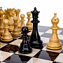 Подарочные шахматы VIP-класса с фигурами ручной работы 48х48 см, фотография 10. Интернет-магазин ЛАВКА ПОДАРКОВ