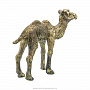 Бронзовая статуэтка "Верблюд", фотография 3. Интернет-магазин ЛАВКА ПОДАРКОВ