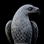 Скульптура из натурального камня "Орел", фотография 4. Интернет-магазин ЛАВКА ПОДАРКОВ