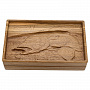 Домино в резной дубовой шкатулке "Форель", фотография 4. Интернет-магазин ЛАВКА ПОДАРКОВ