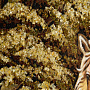 Картина с янтарной крошкой "Кони" 60х80 см, фотография 5. Интернет-магазин ЛАВКА ПОДАРКОВ