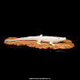 Скульптура из кости "Крокодил", фотография 2. Интернет-магазин ЛАВКА ПОДАРКОВ