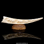 Скульптура из клыка моржа "Слоны", фотография 1. Интернет-магазин ЛАВКА ПОДАРКОВ