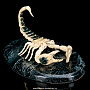 Скульптура из бивня мамонта "Скорпион", фотография 1. Интернет-магазин ЛАВКА ПОДАРКОВ