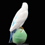 Скульптура фарфоровая "Волнистый попугайчик", фотография 2. Интернет-магазин ЛАВКА ПОДАРКОВ