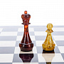 Шахматный ларец с янтарными фигурами "Европа" 49х49 см, фотография 6. Интернет-магазин ЛАВКА ПОДАРКОВ
