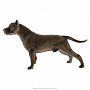 Бронзовая статуэтка "Собака Стаффордширский терьер", фотография 2. Интернет-магазин ЛАВКА ПОДАРКОВ