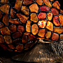 Настольная лампа из янтаря и бронзы "Улитка", фотография 4. Интернет-магазин ЛАВКА ПОДАРКОВ
