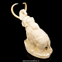 Скульптура из бивня мамонта "Слон", фотография 6. Интернет-магазин ЛАВКА ПОДАРКОВ