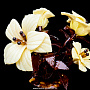 Сувенир "Букет цветов в вазе 5" из янтаря, фотография 2. Интернет-магазин ЛАВКА ПОДАРКОВ