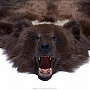 Ковер из шкуры бурого медведя, фотография 2. Интернет-магазин ЛАВКА ПОДАРКОВ