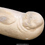 Скульптура из кости кита "Нерпа", фотография 5. Интернет-магазин ЛАВКА ПОДАРКОВ