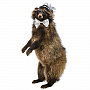Чучело "Енот-джентльмен", фотография 6. Интернет-магазин ЛАВКА ПОДАРКОВ