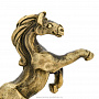 Бронзовая статуэтка "Конь", фотография 5. Интернет-магазин ЛАВКА ПОДАРКОВ