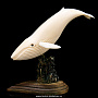 Скульптура из клыка моржа "Кит", фотография 1. Интернет-магазин ЛАВКА ПОДАРКОВ