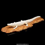 Скульптура из кости "Крокодил", фотография 3. Интернет-магазин ЛАВКА ПОДАРКОВ