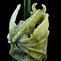 Скульптура из натурального камня "Дракон с трезубцем", фотография 5. Интернет-магазин ЛАВКА ПОДАРКОВ