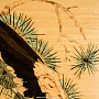 Деревянное настенное панно "Орлица у гнезда" 47 х 61,5 см, фотография 5. Интернет-магазин ЛАВКА ПОДАРКОВ