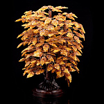 0055295-НП ДЕРЕВО ДЕНЕЖНОЕ на подставке, выс. 60 см, ширина подст.26см 285л