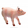 Скульптура интерьерная "Свинка", фотография 2. Интернет-магазин ЛАВКА ПОДАРКОВ