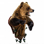 Настенное чучело "Медведь", фотография 6. Интернет-магазин ЛАВКА ПОДАРКОВ
