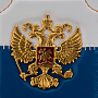 Обложка на паспорт "Герб РФ", фотография 3. Интернет-магазин ЛАВКА ПОДАРКОВ
