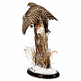Чучело "Ястреб-тетеревятник с добычей", фотография 6. Интернет-магазин ЛАВКА ПОДАРКОВ