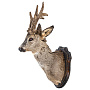 Чучело настенное "Голова косули", фотография 4. Интернет-магазин ЛАВКА ПОДАРКОВ