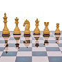 Шахматы турнирные с колумбийскими деревянными фигурами 48х48 см, фотография 4. Интернет-магазин ЛАВКА ПОДАРКОВ