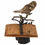 Чучело птицы "Сова болотная на книге", фотография 3. Интернет-магазин ЛАВКА ПОДАРКОВ