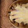 Шкура волка (Ковер из шкуры волка), фотография 5. Интернет-магазин ЛАВКА ПОДАРКОВ