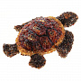Скульптура из янтаря "Черепаха", фотография 5. Интернет-магазин ЛАВКА ПОДАРКОВ
