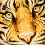 Картина янтарная "Тигр" 57х47 см, фотография 2. Интернет-магазин ЛАВКА ПОДАРКОВ