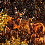 Картина янтарная "Олени в лесу" 40х30 см, фотография 3. Интернет-магазин ЛАВКА ПОДАРКОВ