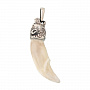 Амулет из клыка росомахи, фотография 1. Интернет-магазин ЛАВКА ПОДАРКОВ