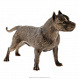 Бронзовая статуэтка "Собака Стаффордширский терьер", фотография 3. Интернет-магазин ЛАВКА ПОДАРКОВ