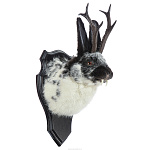 Чучело настенное "Черно-белый кролик с рогами"