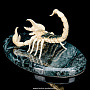 Скульптура из бивня мамонта "Скорпион", фотография 4. Интернет-магазин ЛАВКА ПОДАРКОВ