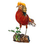 Чучело настольное "Фазан красный", фотография 7. Интернет-магазин ЛАВКА ПОДАРКОВ