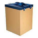 0063838 Упаковка Коробка вертикальная 40*40*55 шнур