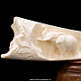 Скульптура из клыка моржа "Слоны", фотография 5. Интернет-магазин ЛАВКА ПОДАРКОВ