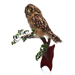 /СИД Таксидермия Чучело "СОВА БОЛОТНАЯ" настенное