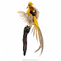 Чучело настенное "Лимонный фазан", фотография 3. Интернет-магазин ЛАВКА ПОДАРКОВ