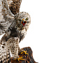 Чучело птицы настенное "Канюк-зимняк", фотография 4. Интернет-магазин ЛАВКА ПОДАРКОВ